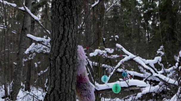 Yeti postać z bajki w zimowym lesie. Nagranie wideo Hd. — Wideo stockowe