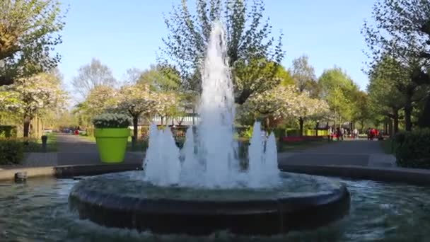 Hd Filmmaterial von blühenden europäischen Garten, Brunnen im Park, die Niederlande. — Stockvideo