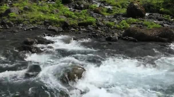 アイスランドの伝統的な自然風景です。映像は？. — ストック動画