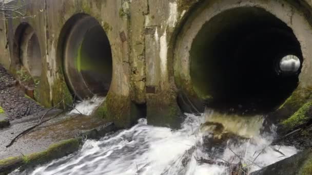 River dam gjord av rör under en bro i en skogsbilväg med rinnande vatten. HD film. — Stockvideo