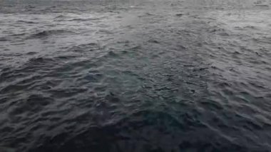 Lofaten Adaları. Hareketli bulutları olan güzel Norveç manzarası.
