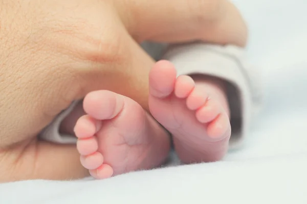 Baby feet in hands — Stock Photo, Image