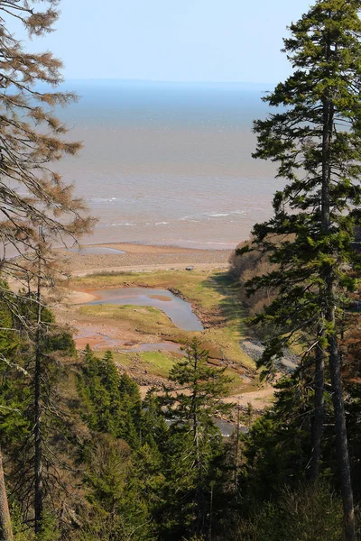 Long Beach sul Fundy Trail Parkway — Foto Stock