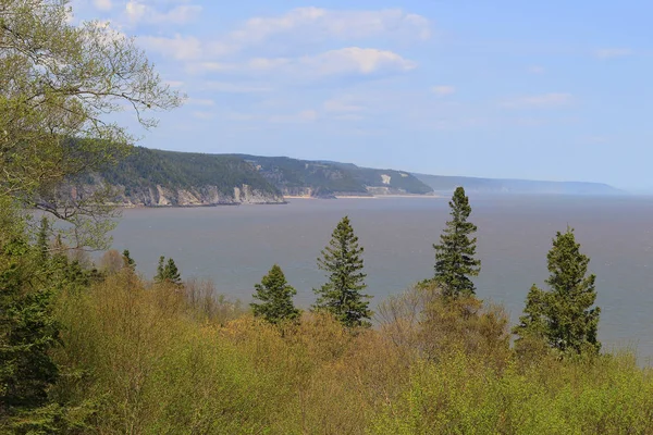 Costa intocada no Fundy Trail Parkway — Fotografia de Stock