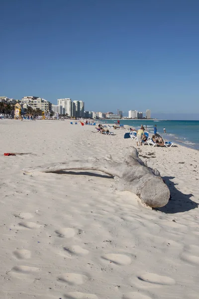 Cancun Hotel Area spiaggia — Foto Stock