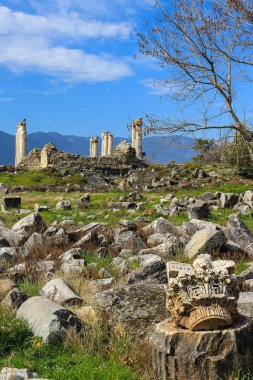Aphrodite Temple ruins  in Aphrodisias Turkey clipart
