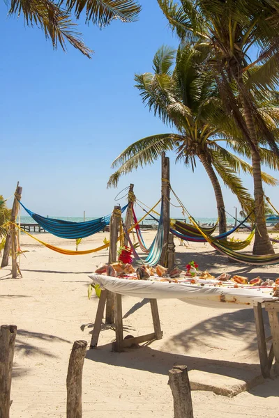 Caye Caulker, Belize, Közép-Amerika — Stock Fotó