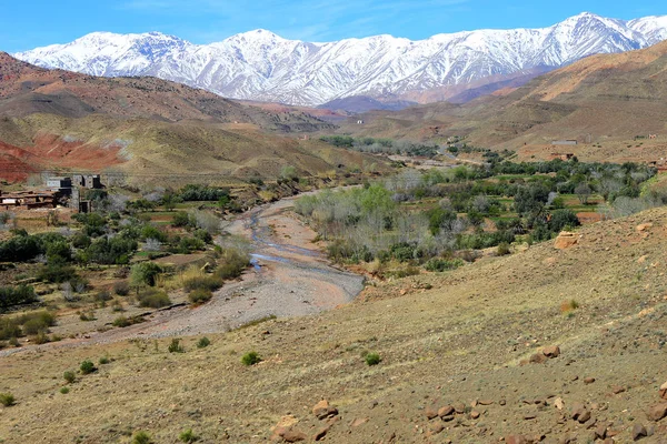 Orta Atlas Dağları, Fas, Afrika — Stok fotoğraf