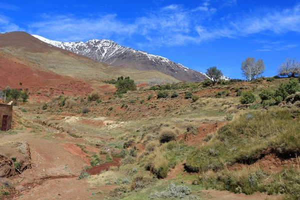 Montañas del Atlas Medio, Marruecos, África — Foto de Stock