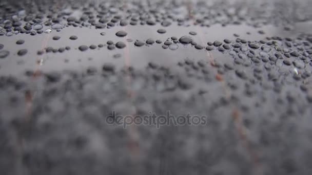 Raindrops of white water falling down on glass. Perfect for digital composing. Pure black background — Stock Video