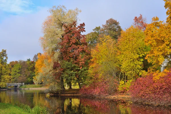 Hermosos árboles de otoño — Foto de Stock