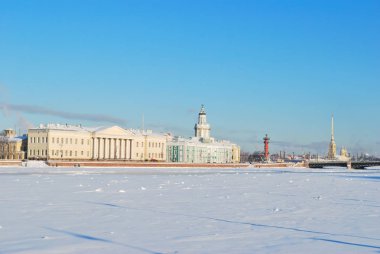 Kışın St. petersburg