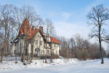 Kışın St. petersburg 