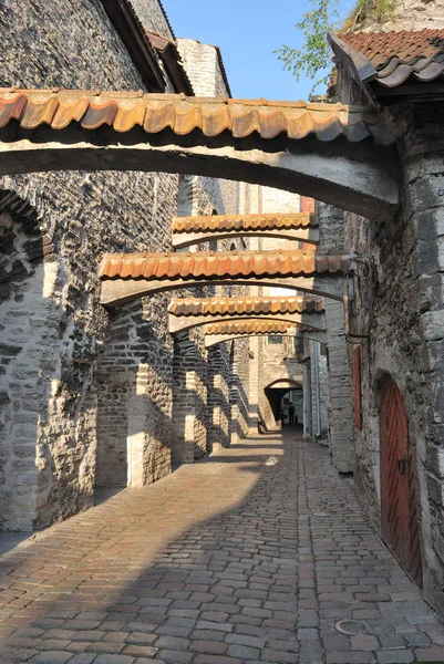 Tallinn eski kasaba Telifsiz Stok Imajlar