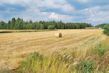 Yaz aylarında Finlandiya