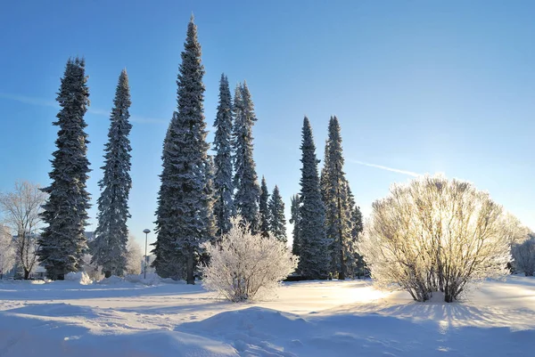 Hiver dans le parc Mikkeli, Finlande — Photo