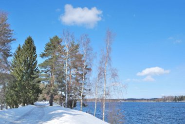 Imatra, Finland.  Beautiful park and lake shore in the early spring
