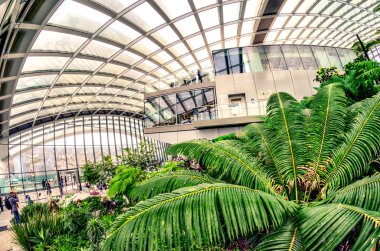Londra - 26 Eylül 2016: Sky Garden adlı 20 Fenchurch Viyadükler