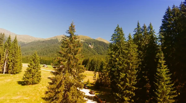Dolomitler Vadisi, İtalyan Alpleri 'nin Panoramik Manzarası