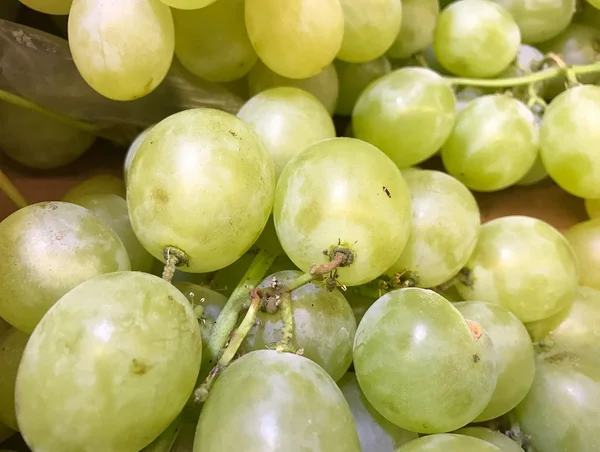 Закрыть зеленый виноград — стоковое фото