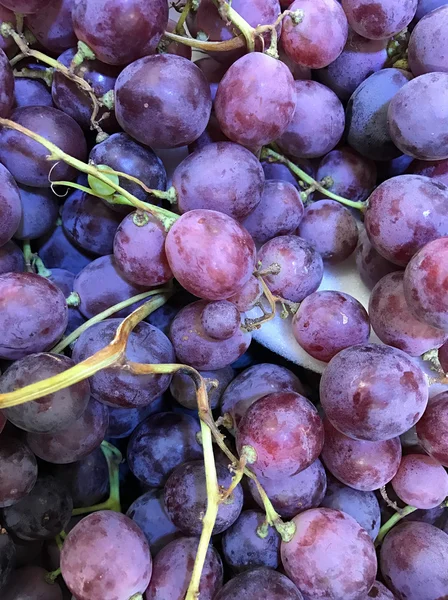 Primer plano de las uvas rojas — Foto de Stock