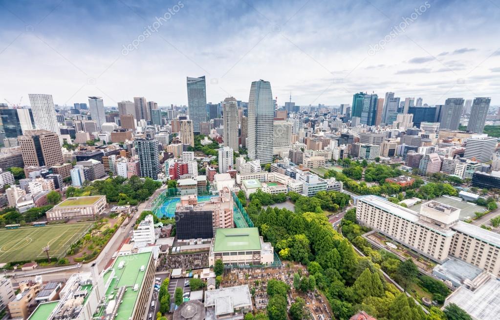 Aerial view of Tokyo skyscrapers. City skyline, business concept