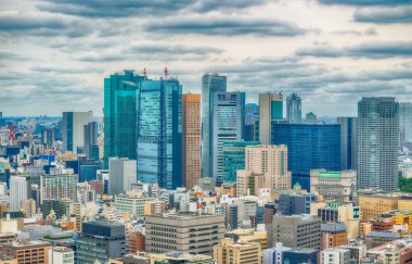 Tokyo - Mayıs 2016: Şehir manzarası hava görünümünü. Tokyo 15 çekiyor
