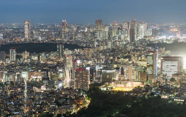 Tokió, Japán. Szép légi felvétel a város épületeit éjjel — Stock Fotó