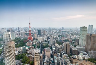 Tokyo gökdelenler ve Tokyo kule havadan görünümü