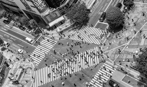 Tokio, Japonia - 23 maja 2016: Pieszych przejść w Shibuya Crossi — Zdjęcie stockowe