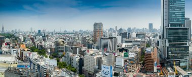 Tokyo - 23 Mayıs 2016: Panoramik şehir manzarası çatıdan