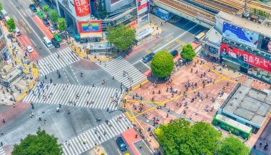 Tokyo, Japonya - 23 Mayıs 2016: Yayalar yürüyüş havadan görünümü 