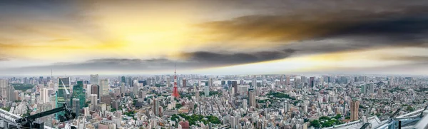 Токио, Япония. Вид на город с воздуха в сумерках — стоковое фото