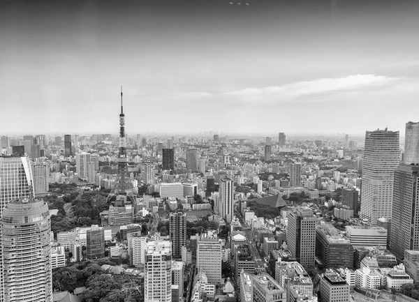 Tokyo skyscrapers and Tokyo Tower aerial view — Stock Photo, Image