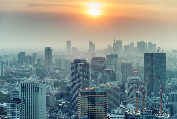 Tokyo skyline, aerial view at dusk.