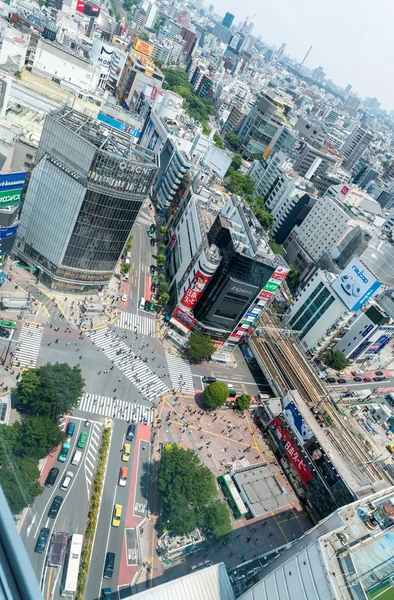 TOKYO, JAPAN - MAJ 23, 2016: Luftfoto af fodgængere gå på - Stock-foto