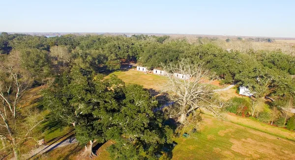 Vista aérea de Oak Alley Plantation em Lousiana — Fotografia de Stock