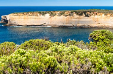 Kayalar ve Great Ocean Road - Avustralya üzerinde bitki örtüsü