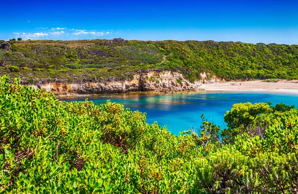Piękne wybrzeże na Great Ocean Road, Victoria - Australi — Zdjęcie stockowe