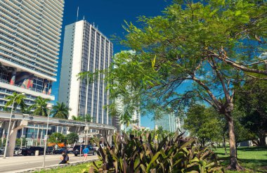 Miami - 25 Şubat 2016: Downtown Miami manzarası güneşli bir günde
