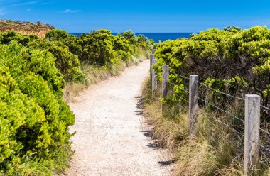 Great Ocean Road kıyı şeridi Victoria eyalet, Avustralya