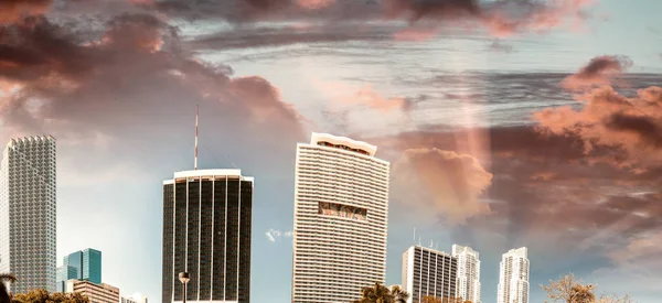 Edifici del centro di Miami — Foto Stock