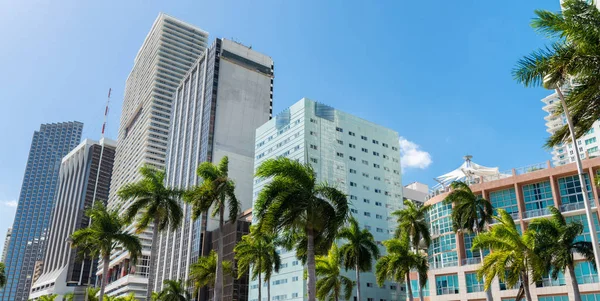 Hermoso horizonte del centro de Miami al atardecer, Florida — Foto de Stock