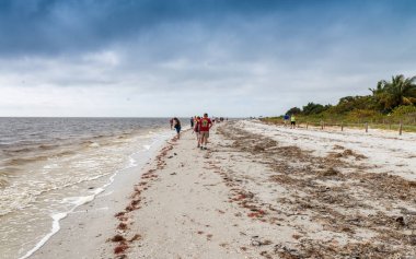 Sanibel, Fl - Şubat 2016: Captiva Island beach turist.