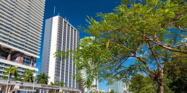 Downtown Miami skyskrapor från Bayfront Park — Stockfoto