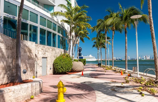 Miami gökdelenler. Güzel bir şehir manzarası — Stok fotoğraf