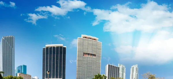 Edifici di Miami, bellissimo skyline della Florida — Foto Stock