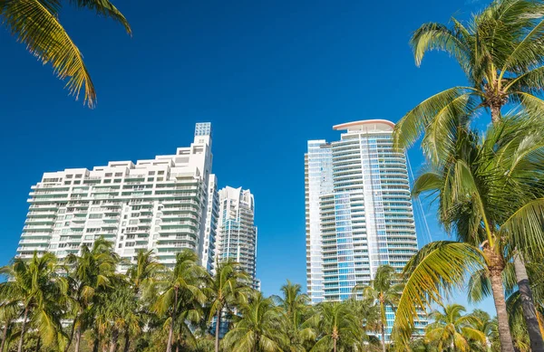 Miami South Pointe Park, Florida binaların — Stok fotoğraf