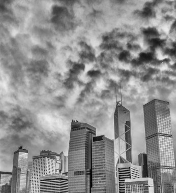 Hong Kong gece görüşü