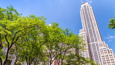 Fifth Avenue, Manhattan New York şehrinin binalar